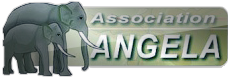 Association-Angela