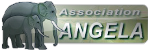 Association-Angela